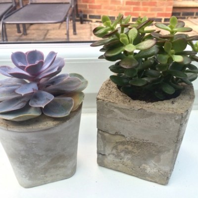 Concrete Planters: The must have item for your plant babies this Spring/Summer&nbsp;2019