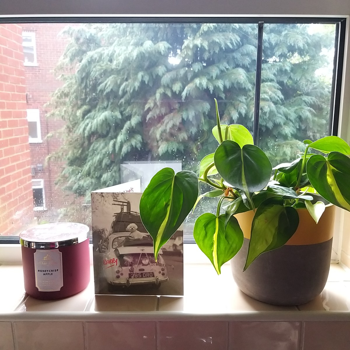 Danica’s Interiors: Part 1 – The Beginnings of My First&nbsp;Home!